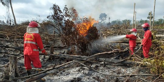 Lahan Gambut Terbakar di Musi Banyuasin Seluas 9 Hektare