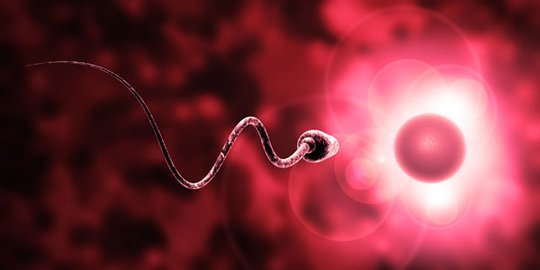 Asthenozoospermia Adalah Kondisi Pergerakan Sperma yang Buruk, Ketahui Penyebabnya