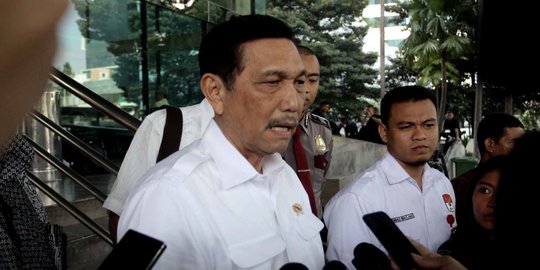 Luhut Sebut 215 Hektare Lahan Food Estate di Sumatera Utara Telah Ditanami