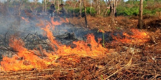 Aceh Masuk Masa Peralihan Cuaca, BMKG Ingatkan Warga Waspada Ancaman Karhutla