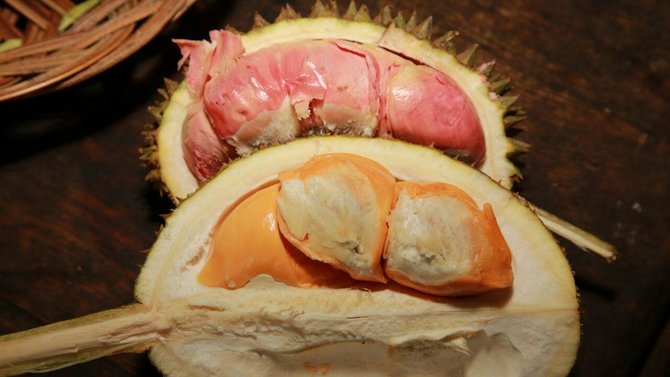 jenis durian unggul