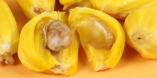 9 Manfaat Biji Nangka bagi Kesehatan, Baik untuk Rambut hingga Kulit dan Organ Dalam