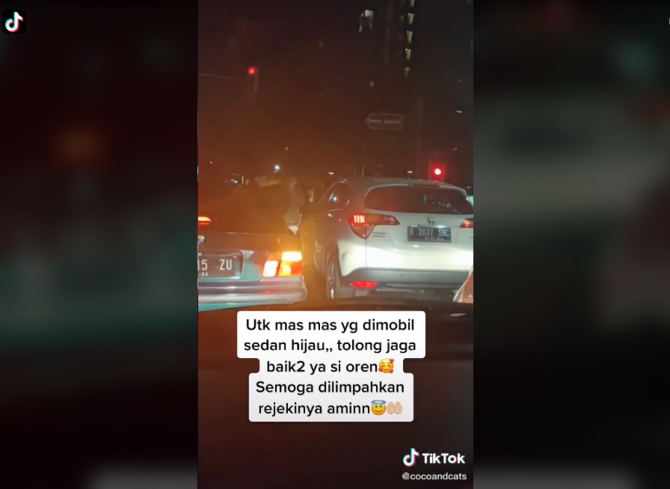 Viral Video Pengendara Turun dari Mobil, Selamatkan Anak Kucing 