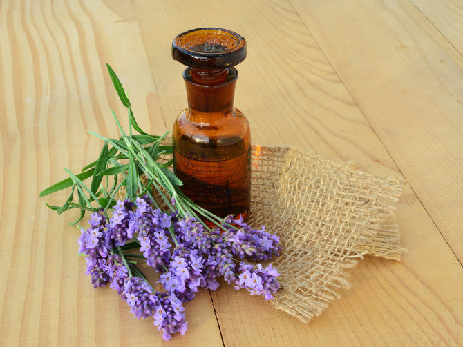 ilustrasi minyak lavender