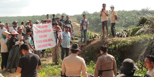 Buntut Rusuh Eksekusi Lahan di Pelalawan, 4 Petani Ditangkap