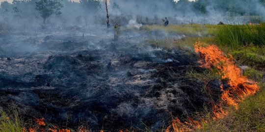 BMKG Minta Masyarakat Waspada Potensi Karhutla di Aceh