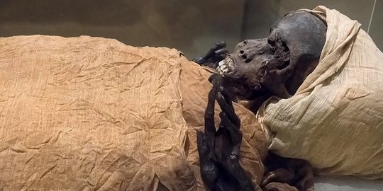 Wujud Mumi Firaun Seqenenre Taa II yang Tewas Dibantai di Medan Perang