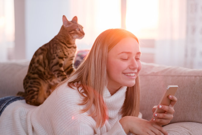 5 bahasa tubuh kucing cara unik tunjukkan kepercayaan pada pemiliknya