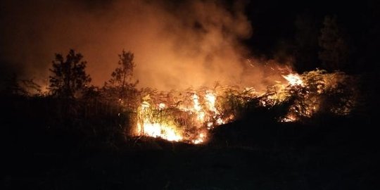20 Hektare Hutan di Pusuk Buhit Danau Toba Terbakar, Warga Diminta Tak Lakukan Ini