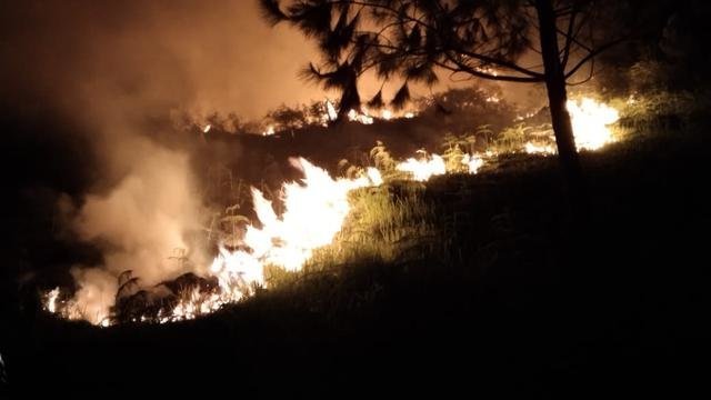 20 hektare hutan di pusuk buhit danau toba terbakar warga diminta tak lakukan ini