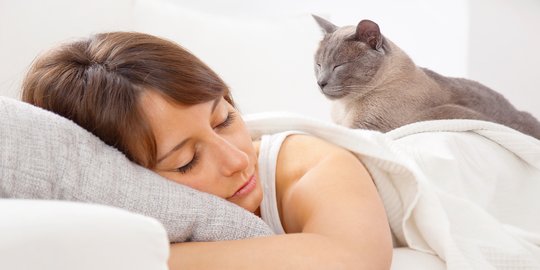 Aktif di Malam Hari, Ini 4 Trik Bantu Kucing Beradaptasi dengan Pola Tidurmu