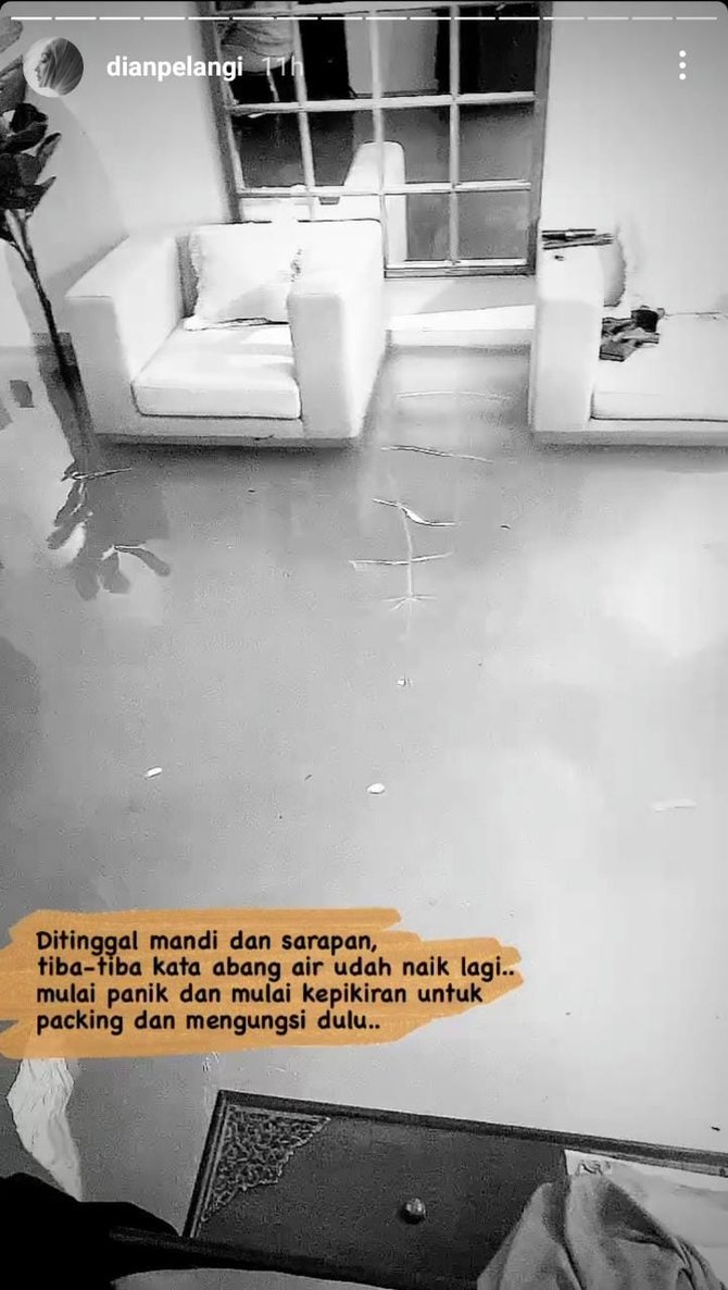 dian pelangi