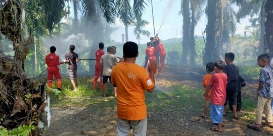 Lahan Kelapa Sawit di Agam Sumbar Terbakar