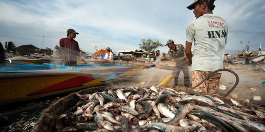 Perindo Catat Penjualan Ikan di 2020 Anjlok 9 Persen