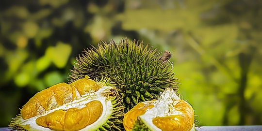 5 Manfaat Kesehatan yang Tak Disangka Bisa Diperoleh dari Konsumsi Durian pada Wanita