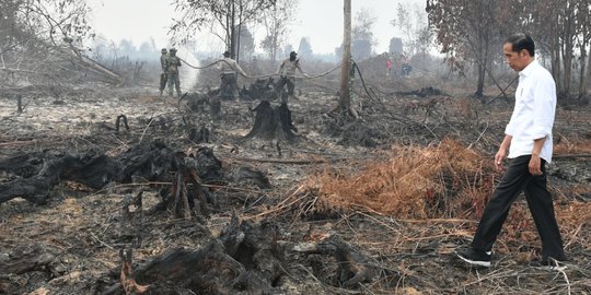 Presiden Jokowi: 99 Persen Kebakaran Hutan Ulah Manusia