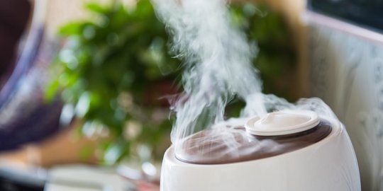 Mengenal Air Humidifier sebagai Pelembap Ruangan, Ketahui Manfaatnya