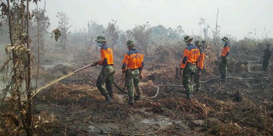 Total 248 Ha Lahan Terbakar di Riau sejak Awal Tahun