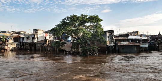 Normalisasi Ciliwung, Pemprov DKI Masih Koordinasi dengan Kementerian PUPR