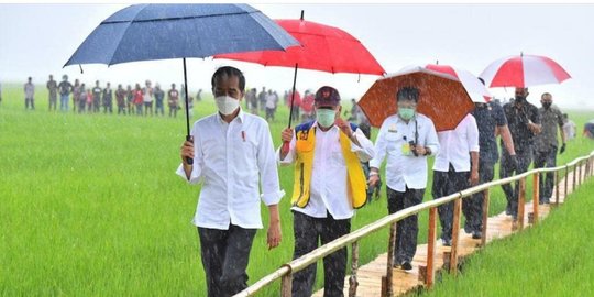Potret Jokowi Tinjau Lumbung Pangan saat Hujan Lebat di Sumba Tengah
