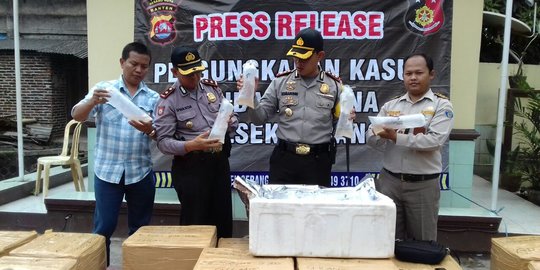 Gandeng Polri, KKP Gagalkan Ekspor 4.153 Benih Lobster Ilegal dari Pengepul