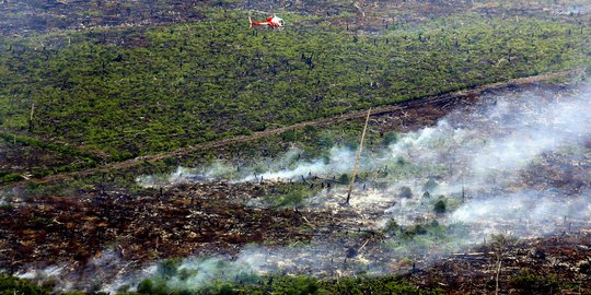 Jokowi Perintahkan Deteksi Dini Karhutla, Riau Andalkan Dashboard Lancang Kuning