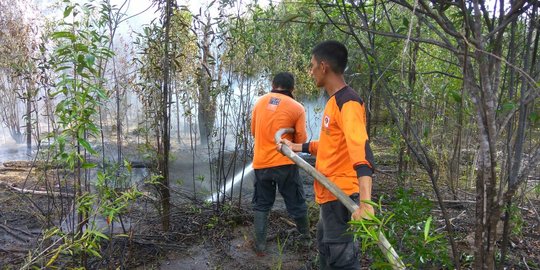 Pontianak Tetapkan Status Siaga Karhutla