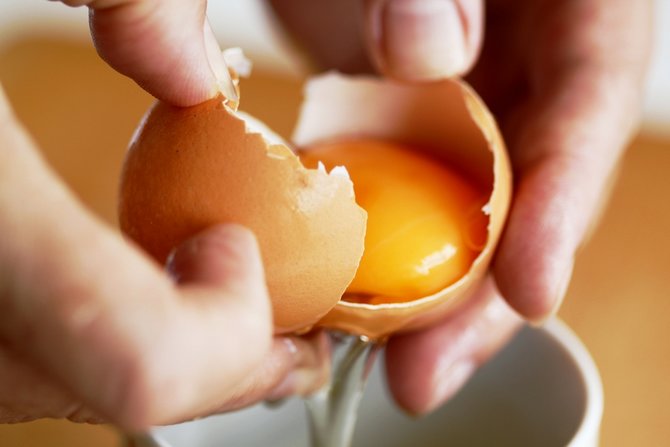 ilustrasi kuning telur