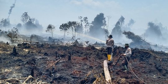 Pria Bakar Lahan Miliknya, Api Menyambar ke Tempat Orang Lain Seluas 5 Hektare