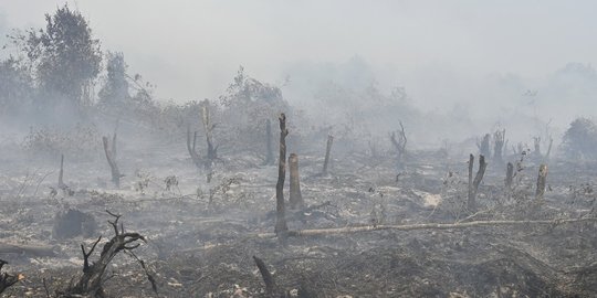 Dua Bulan 5 Hektare Lahan Terbakar di Pekanbaru, Warga Diminta Cepat Melapor