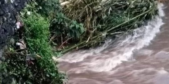 Ratusan Ternak Warga Mati, Ini Kabar Terbaru Banjir Lahar Dingin Gunung Semeru