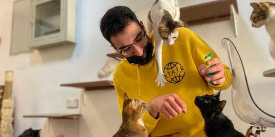 Bersantai di Cafe Kucing Dubai