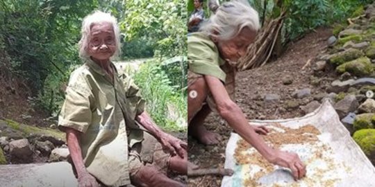 Kisah Pilu Nenek Tua Tinggal Sebatang Kara Cuma Bisa Makan Sisa Tiwul Singkong Jemur