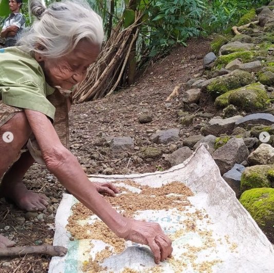 kisah pilu nenek tua tinggal sebatang kara cuma bisa makan sisa tiwul singkong jemur