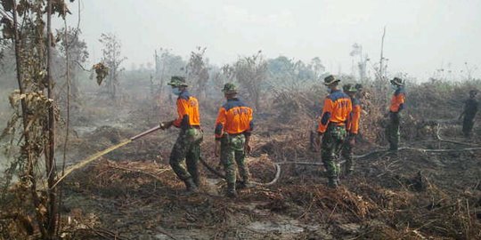 Kebakaran Hutan dan Lahan di Riau Meluas, Helikopter KLHK Dikerahkan