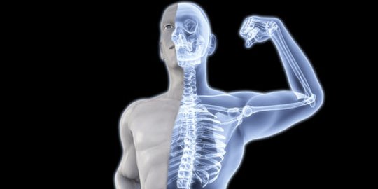 Mengenal Bentuk Tulang Manusia dan Fungsinya, Perlu Diketahui