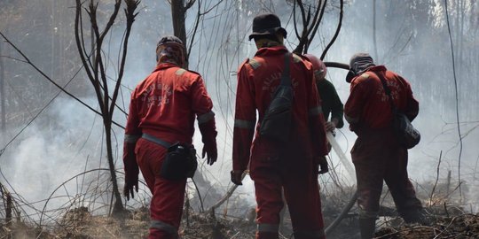 Cagar Biosfer Terbakar 100 Hektare, BBKSDA Riau Menduga Disengaja