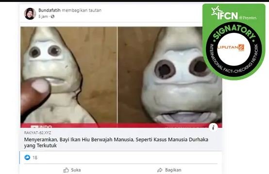 penemuan bayi hiu berwajah mirip manusia simak penjelasannya