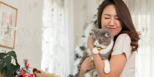 Jangan Asal Pegang, Ini 5 Hal yang Perlu Diperhatikan Saat Menggendong Kucing Lucu