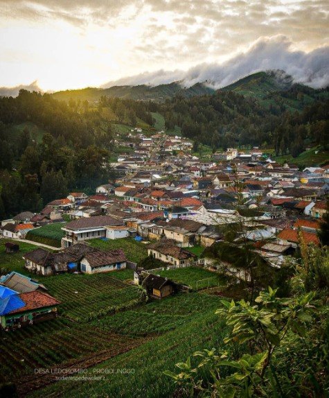 desa ledokombo nepal van probolinggo