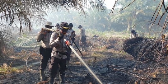 Kebakaran 5,5 Hektare Lahan Gambut di Aceh Barat sedang Proses Pendinginan