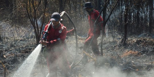 Larang Pembakaran, Pemprov Riau Siapkan Ekskavator untuk Buka Lahan Petani