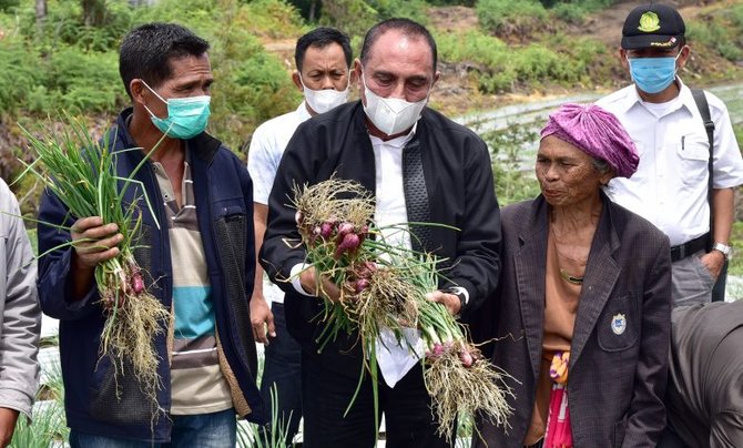 panen perdana di food estate humbahas dinilai berhasil ini harapan gubernur sumut