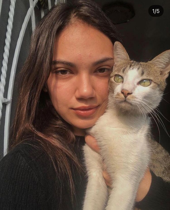 kucing kesayangan haico