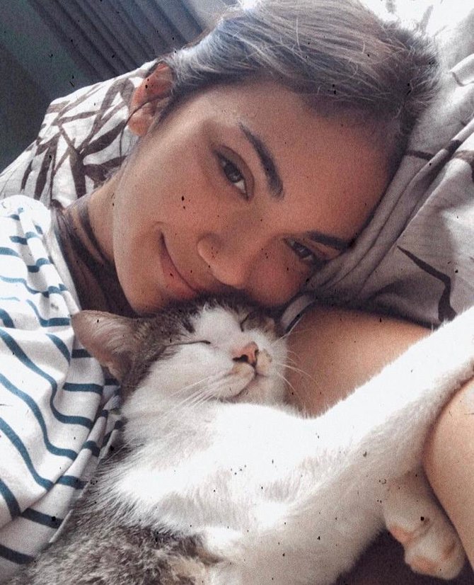 kucing kesayangan haico