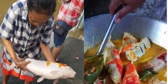 Viral Emak-Emak Masak Ikan Koi Jadi Hidangan Makanan, Bikin Mewek Netizen