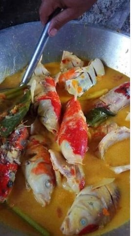 viral emak emak masak ikan koi jadi hidangan makanan bikin mewek netizen