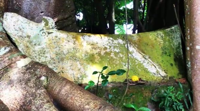 unik dan tak biasa ini penampakan makam di atas pohon di samosir