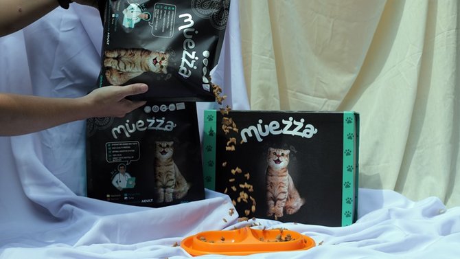 4 pertimbangan sebelum membuat sendiri makanan kucing persia