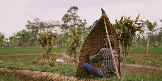 Mengenal Bundengan, Musik Gembala Bebek Asal Wonosobo yang Unik